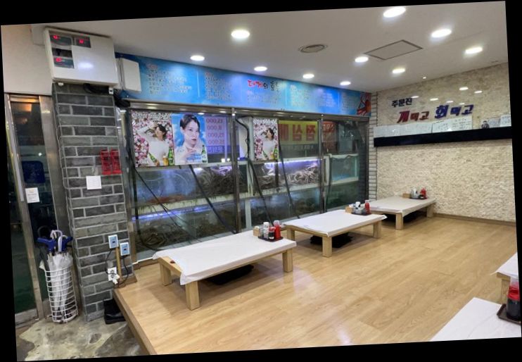 주문진게먹고회먹고 이미지
