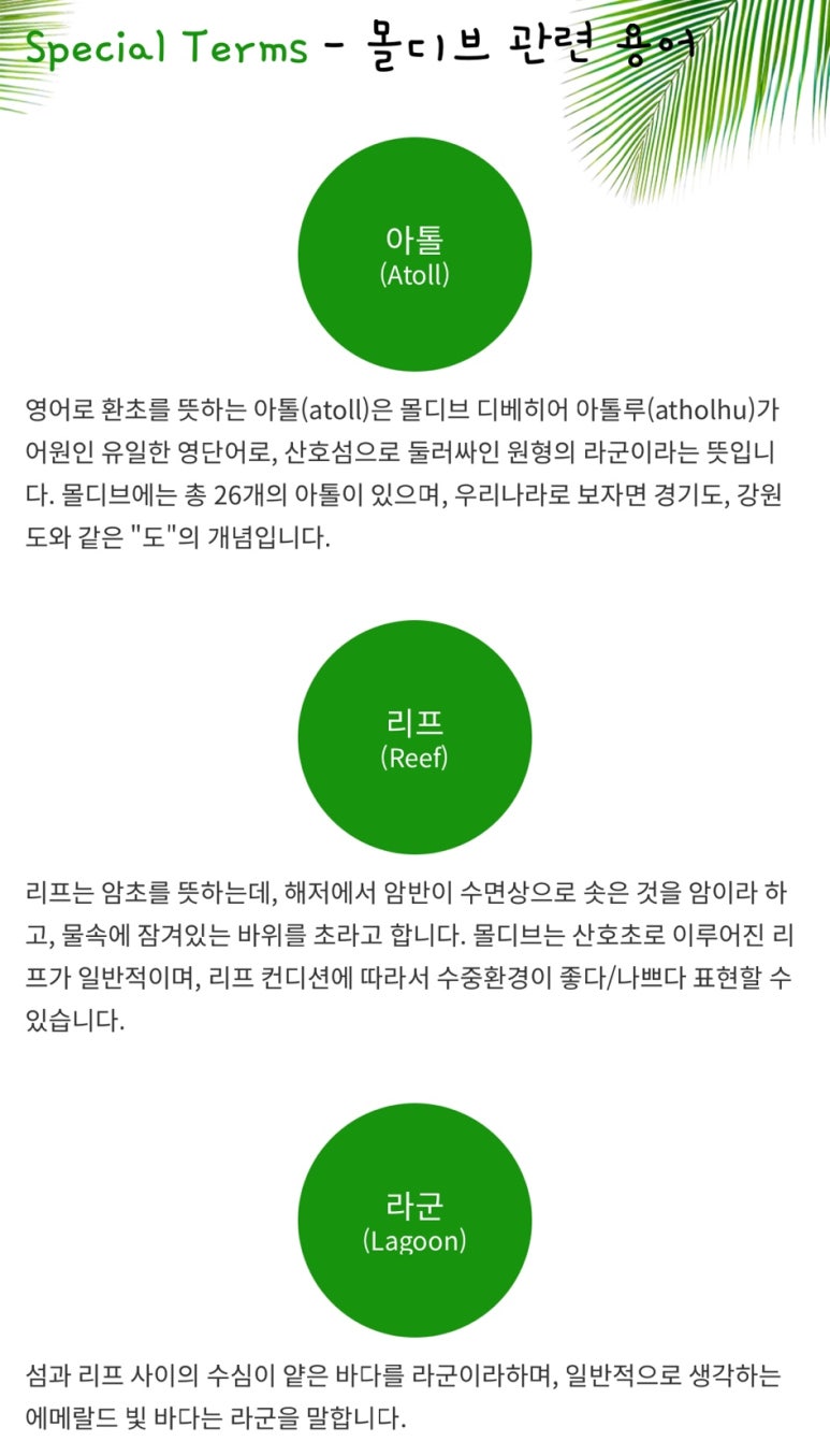 내맘대로여행사 이미지