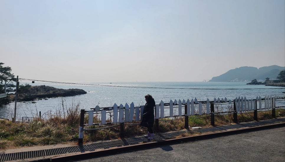 명품물회 송정본점 이미지
