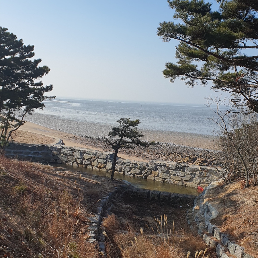 국립무의도자연휴양림 이미지