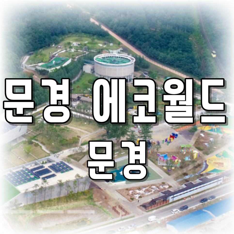 월드정보 이미지