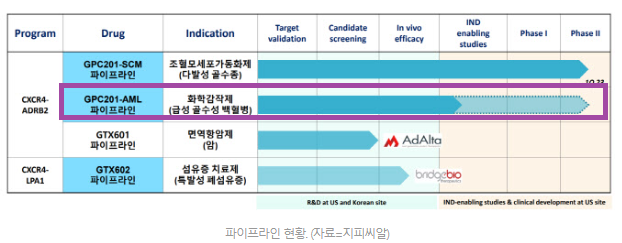 씨엘지피 이미지