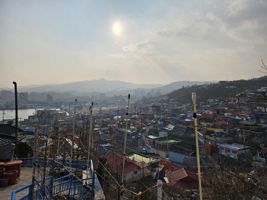 묵호애 이미지