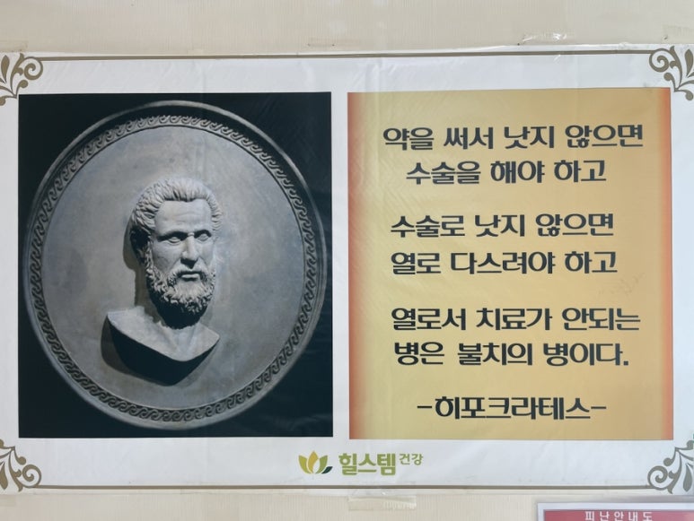힐스템건강 이미지