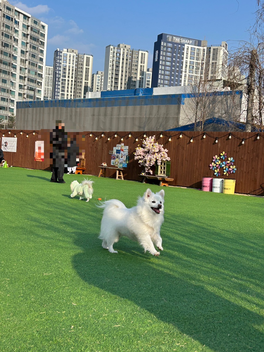 킹스시 이미지