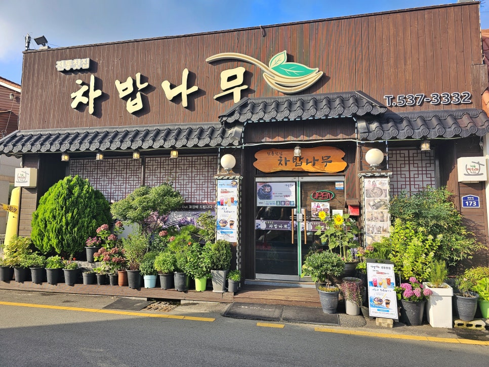 차밥나무 이미지