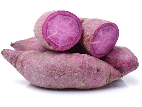 아침에식빵 이미지