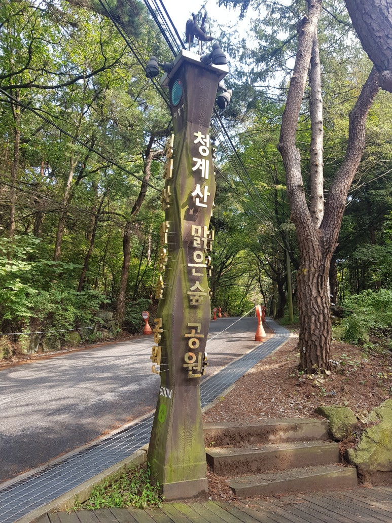 맑은숲 이미지