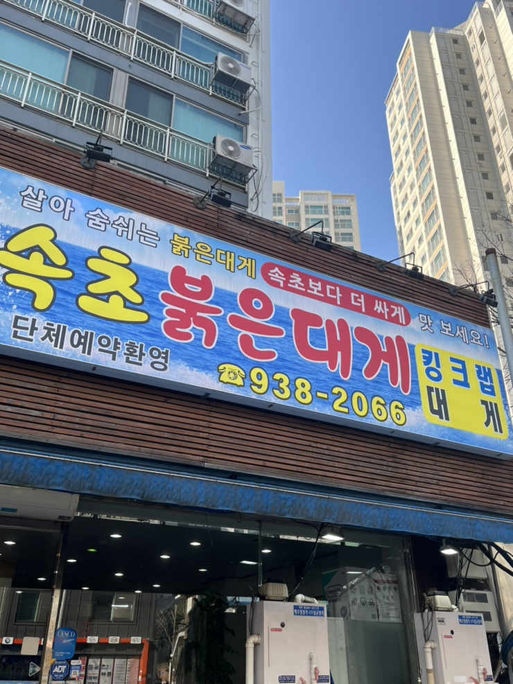 속초붉은대게 이미지