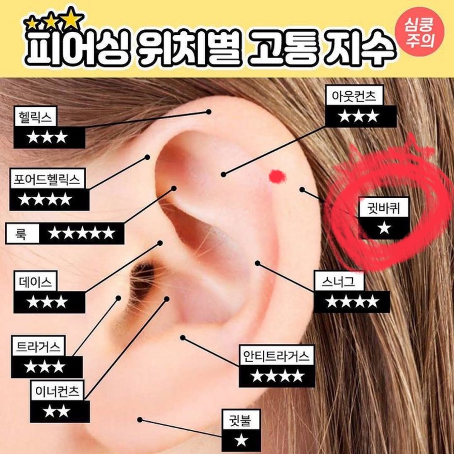 우엉재피어싱 이미지