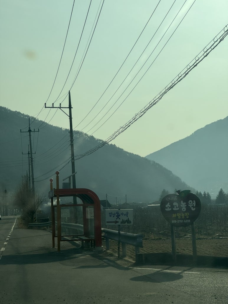 캠핑 돗가비 이미지