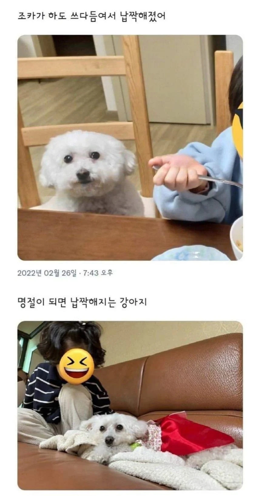 토끼와멍멍이 이미지