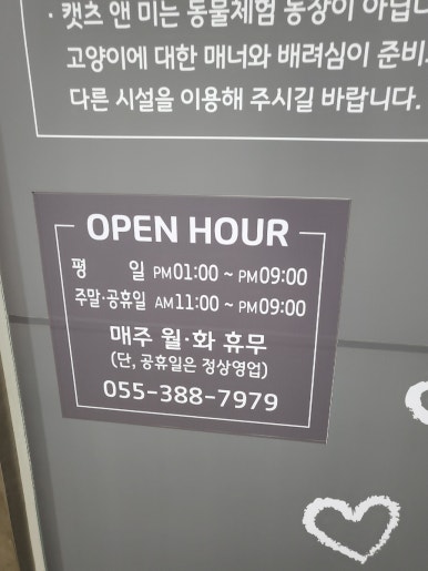 캣츠앤미 이미지