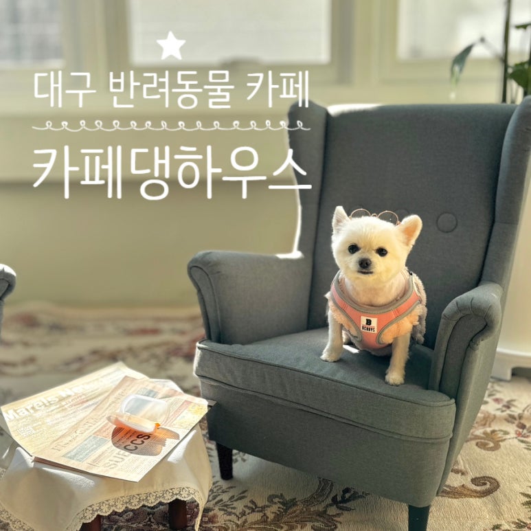 카페댕하우스 이미지