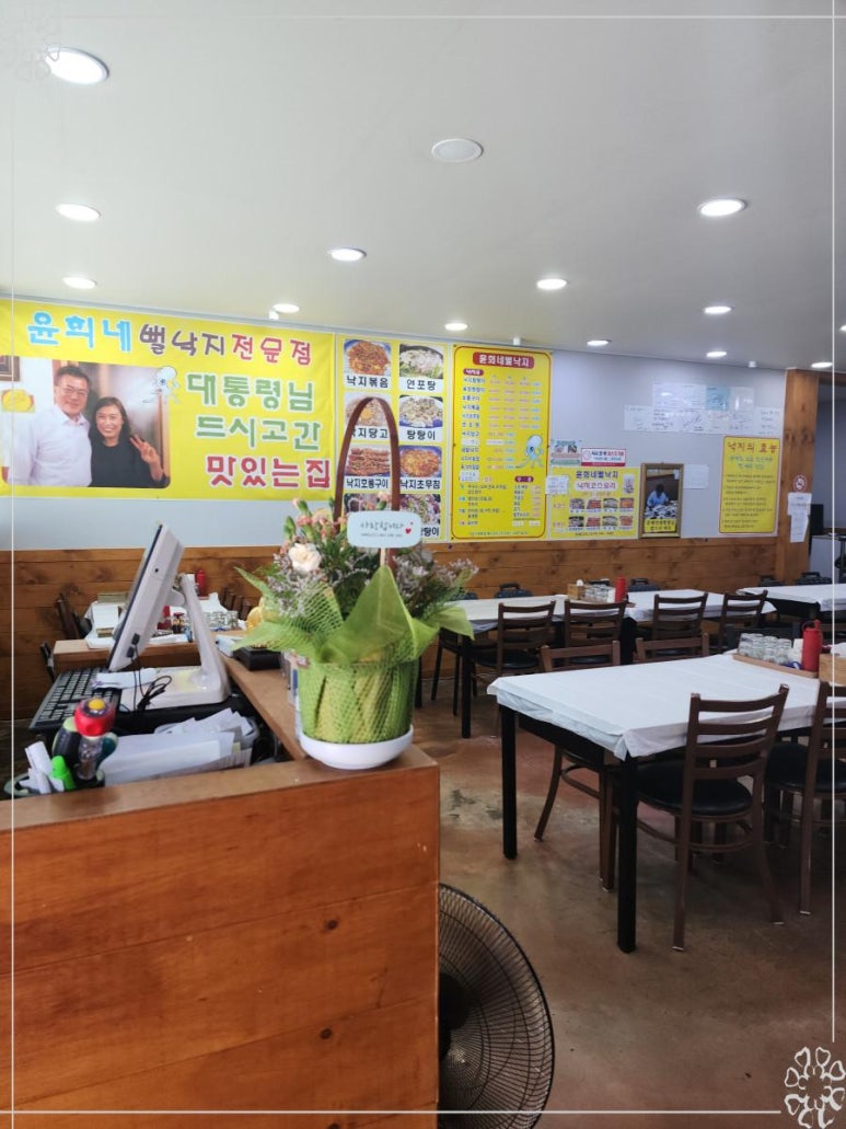 낙지대통령 이미지