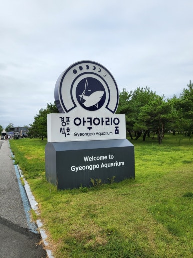 (주)경포아쿠아리움 이미지