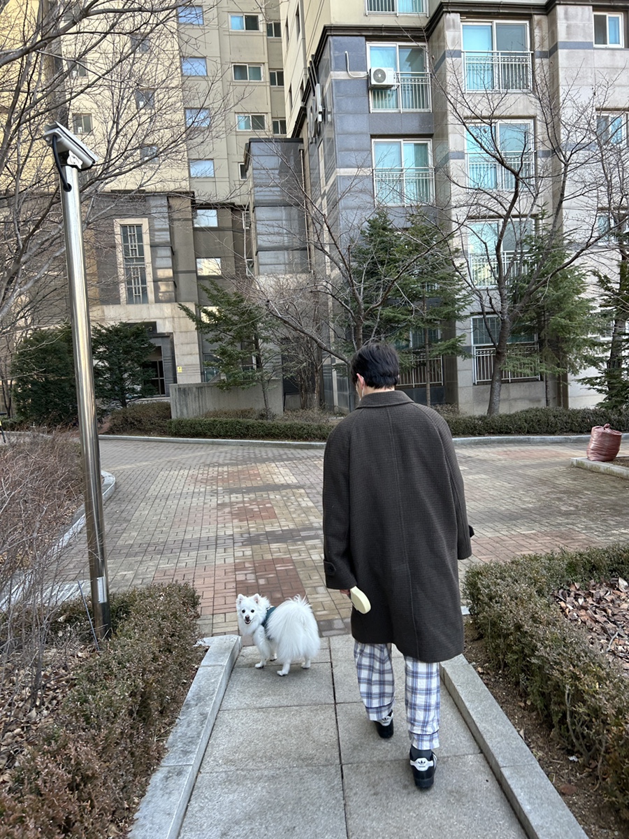 킹스시 이미지