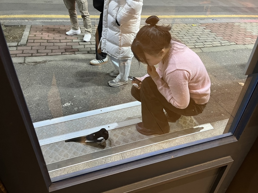 까치세탁소 이미지