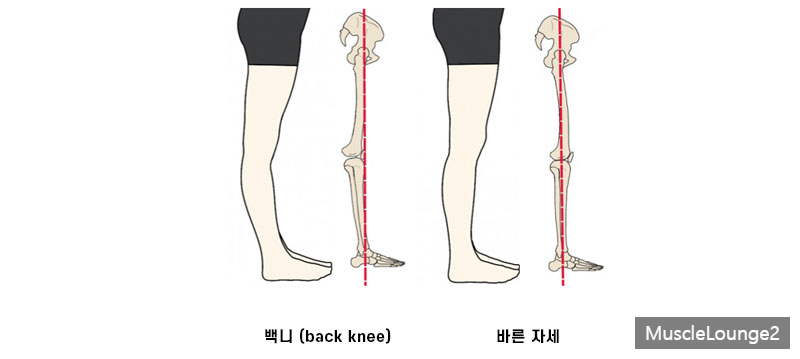 머슬라운지 이미지