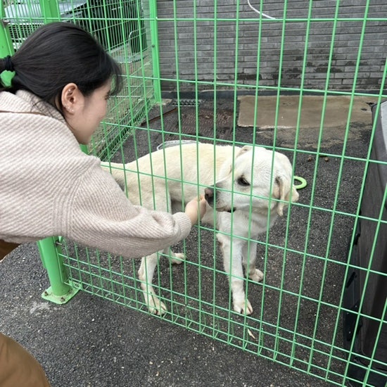 황용가든 이미지