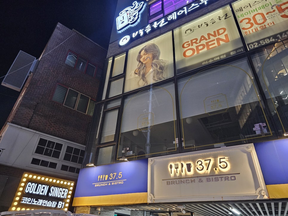 골든싱어코인 이미지