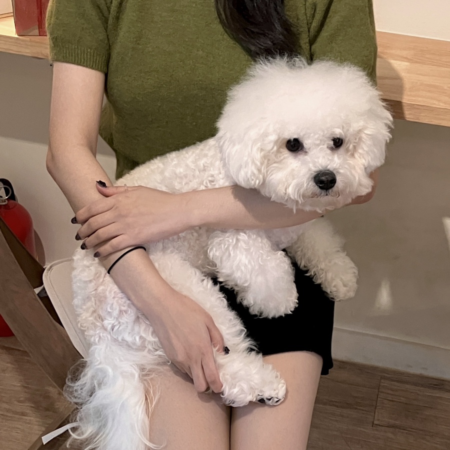 브리지선데이 이미지