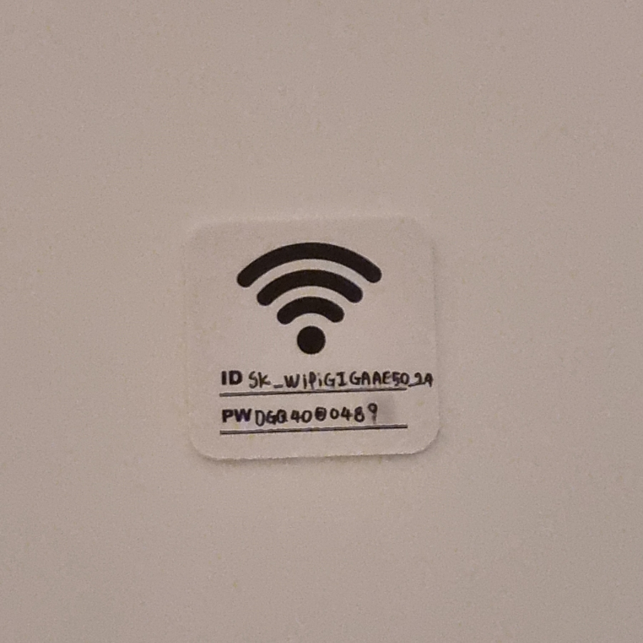 스페샬나잇트 이미지