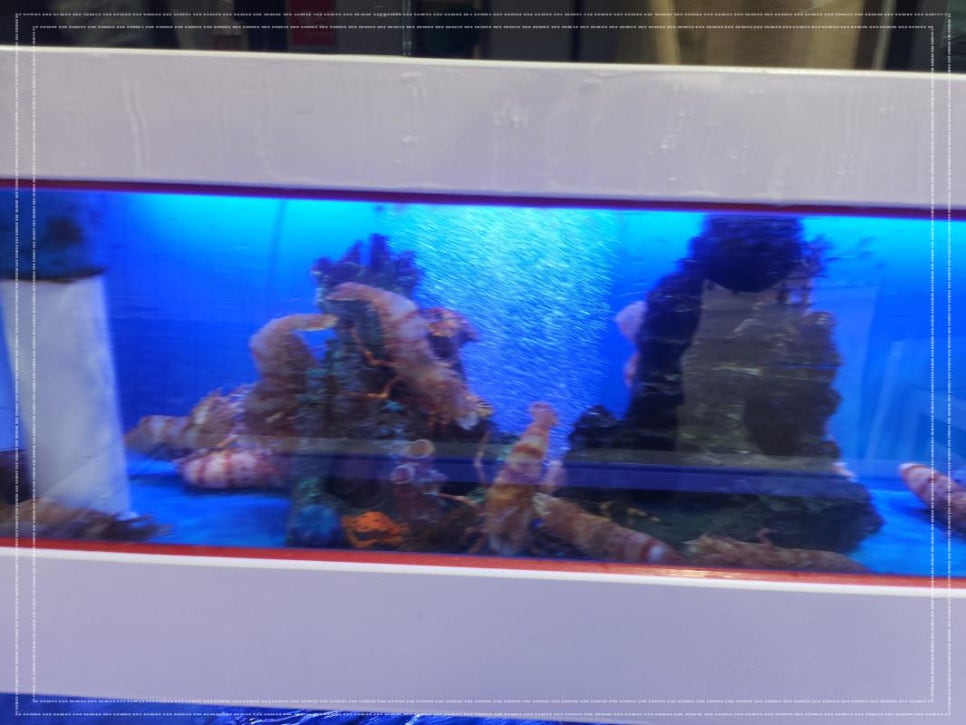 최강수산 이미지