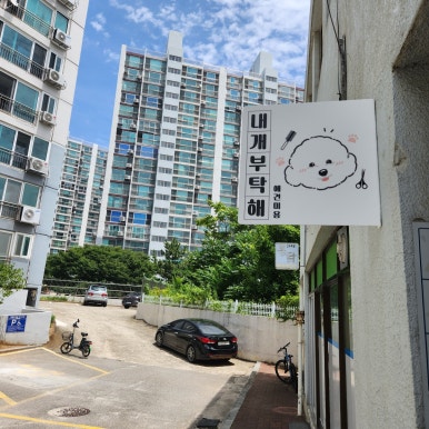포항애견미용학원 이미지