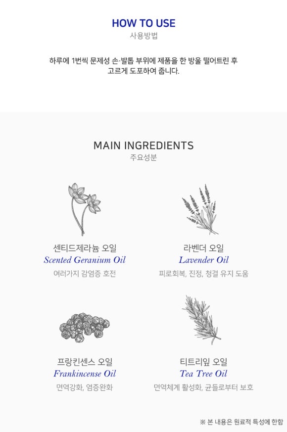 원 에프에스(FS) 이미지