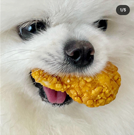 베이킹공방 이미지