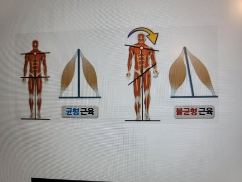 수피아체형관리 이미지