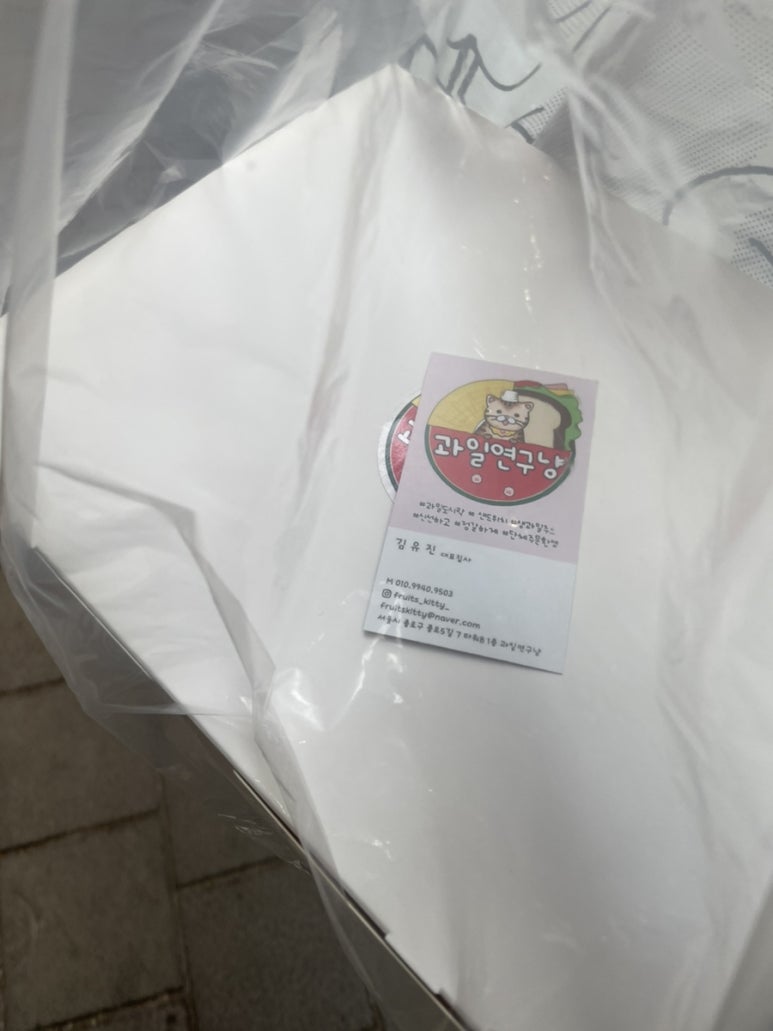 과일연구냥 이미지