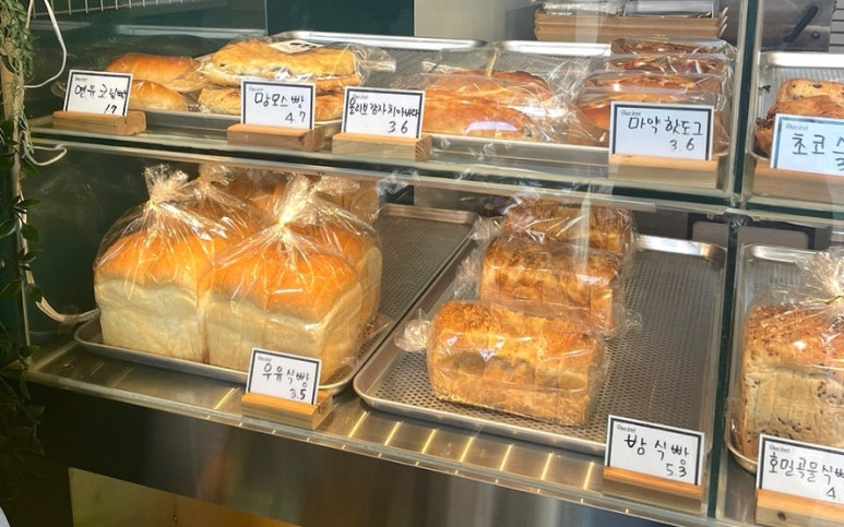 파브롯 이미지