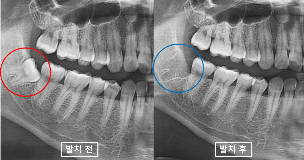 신경하치과의원 이미지