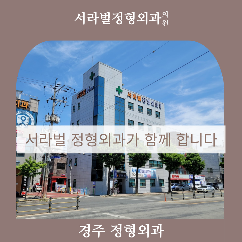 서라벌정형외과 이미지