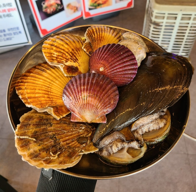 미남조개바다 이미지