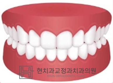 현치과교정과치과의원 이미지