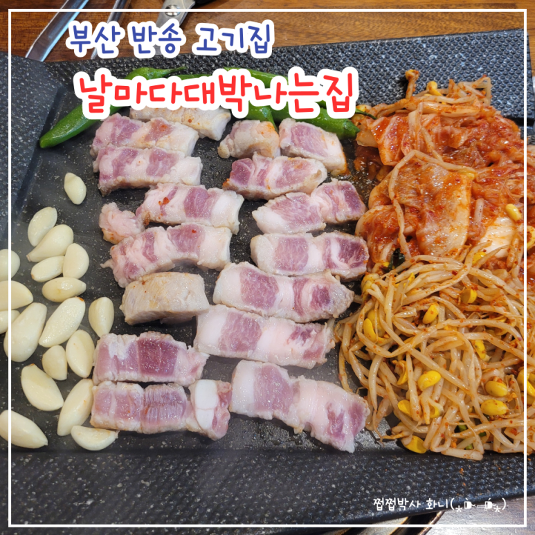 날마다 대박나는집 반송점 이미지