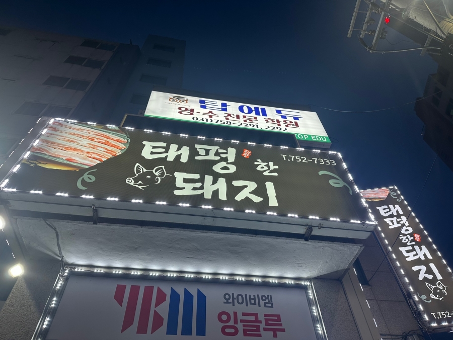 태평한돼지 이미지