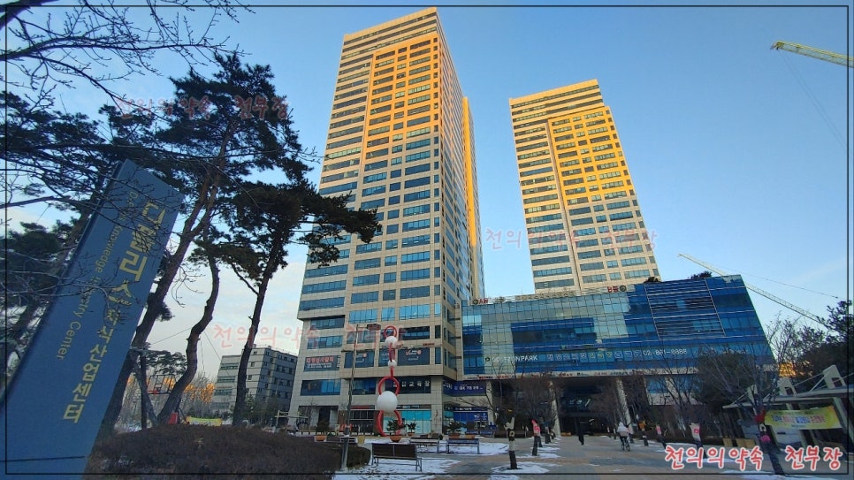 대성화물 이미지