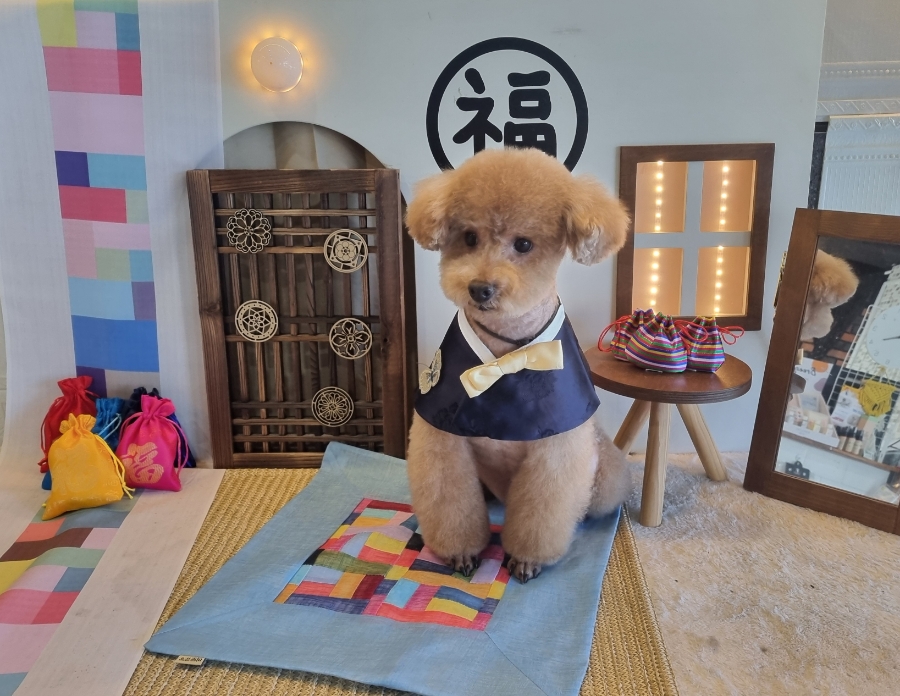 거창미용실 이미지