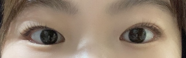 더한올(The한올) 이미지