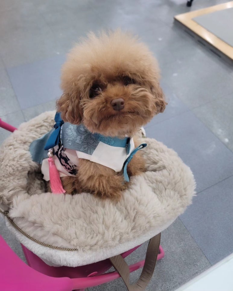 커브스마들클럽 이미지