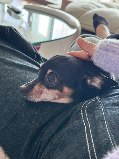 정담디 이미지