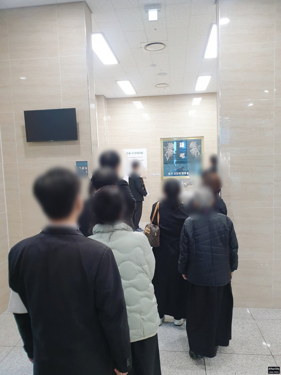 춘천상조 이미지
