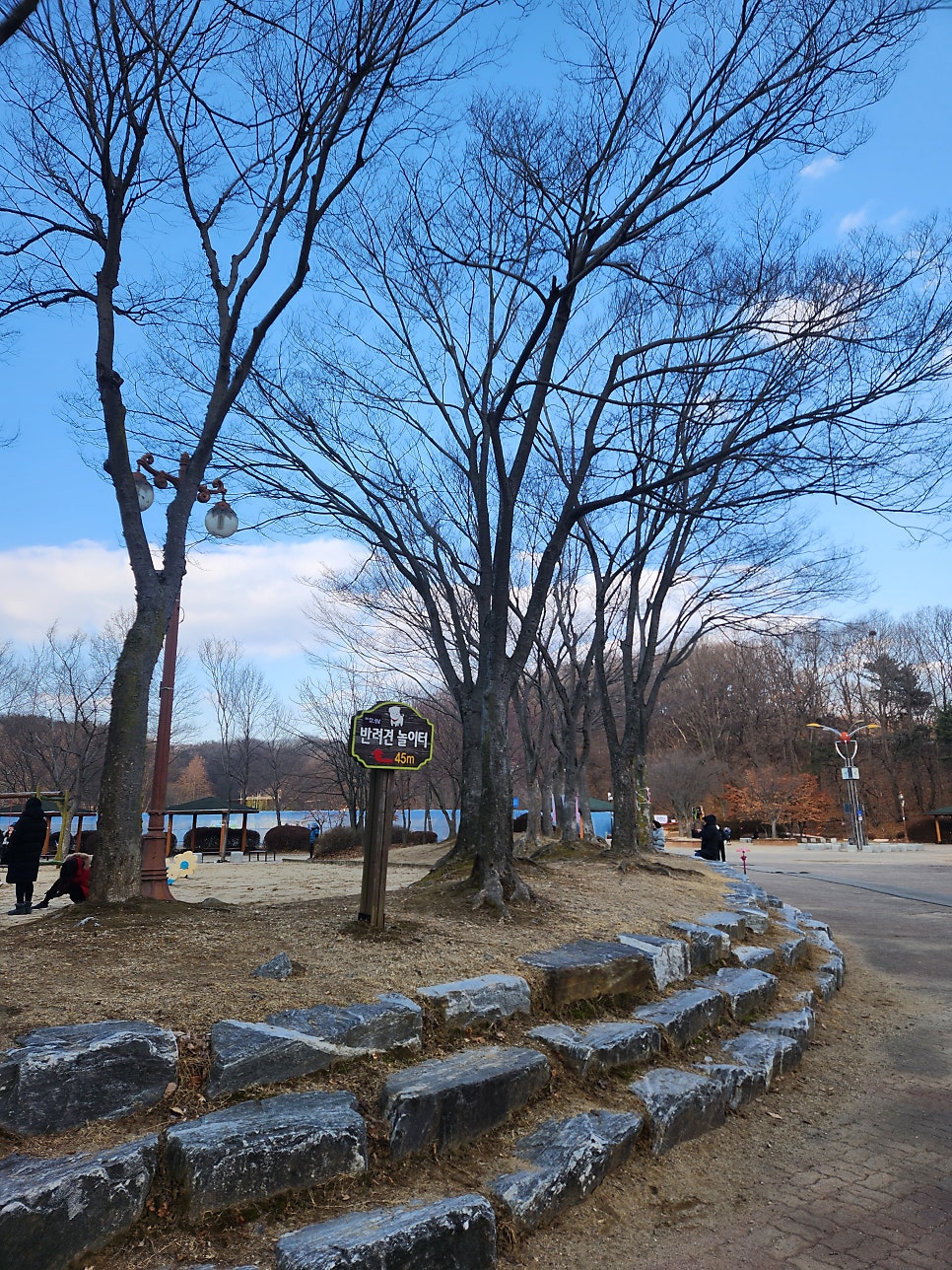 분당 율동공원 반려견 놀이터, 애견 동반 산책 코스 — 사진 6