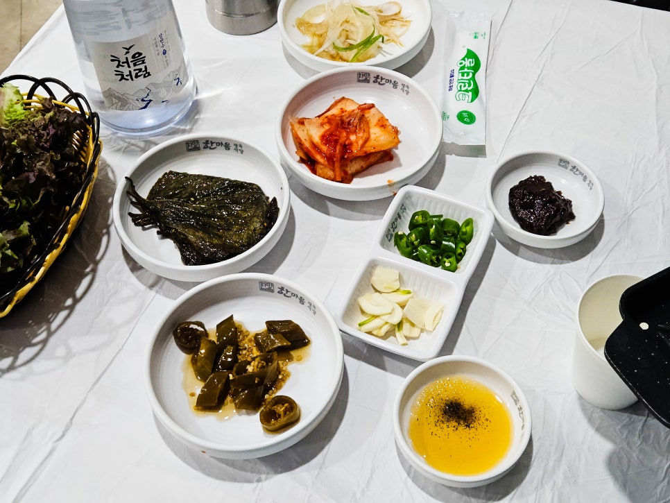 라이프위드도그 이미지