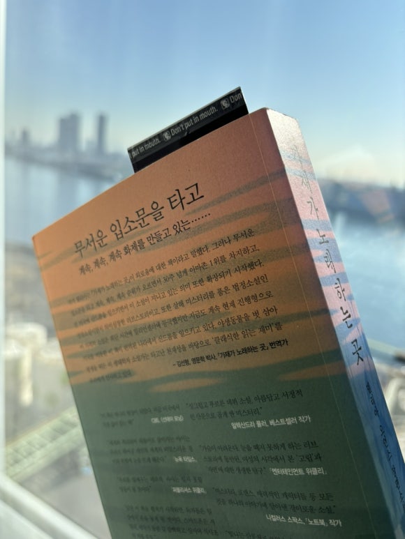 델리아 이미지