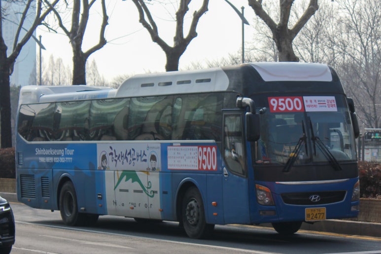 뉴럭셔리여행사 이미지